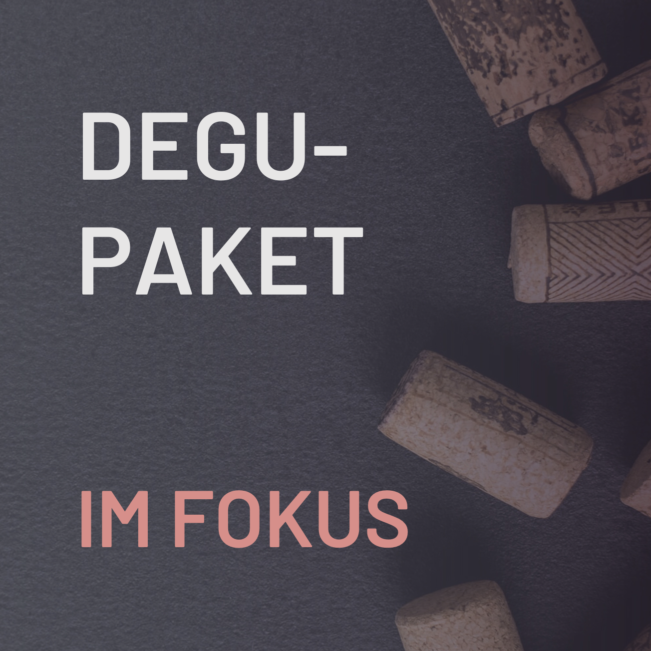 Degustationspaket Im Fokus, Tasting Box, Degu Box, Probierpaket, Weinpaket
