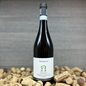 Trebium Antonelli, Weingut Antonelli San Marco, Trebbiano Spoletino, Bestes Weingut Umbrien, Weisswein Biologisch Vegan